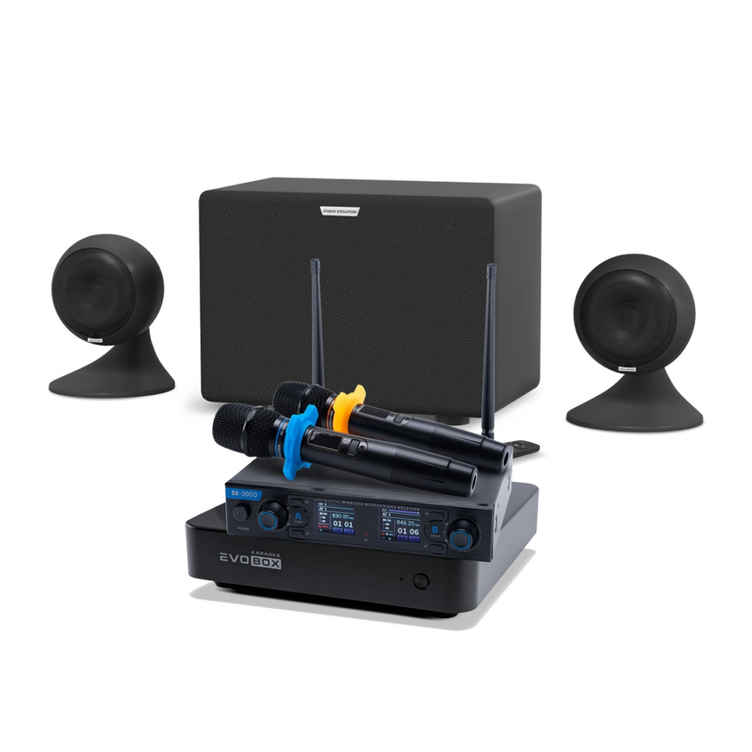 караоке-комплект EVOBOX + EvoSound Sphere 2.1 в Кунгуре