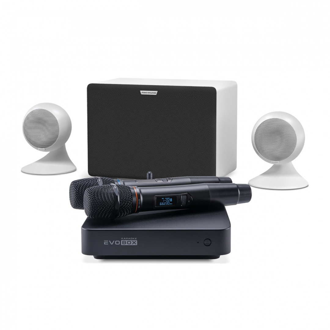 караоке-комплект EVOBOX Classic + EvoSound Sphere 2.1 в Кунгуре