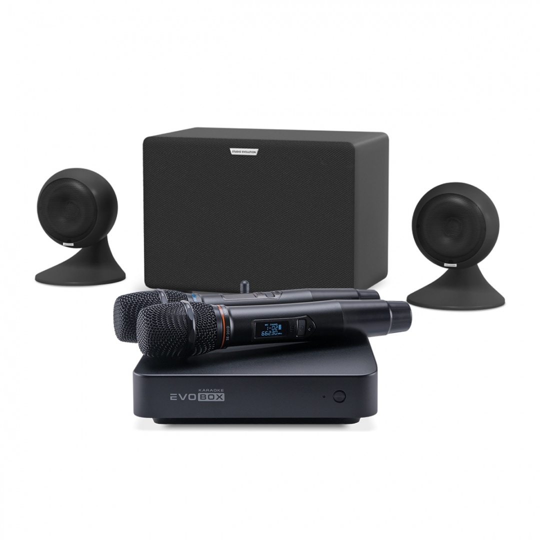 караоке-комплект EVOBOX Plus + EvoSound Sphere 2.1 в Кунгуре
