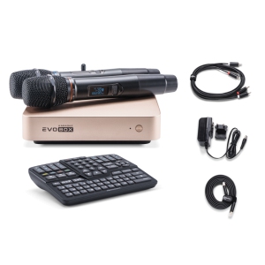 EVOBOX Classic караоке-система для дома в Кунгуре