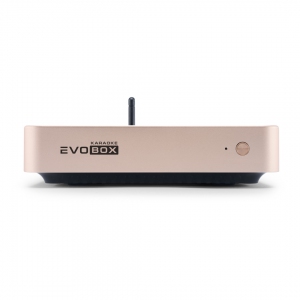 EVOBOX Plus караоке-система для дома в Кунгуре