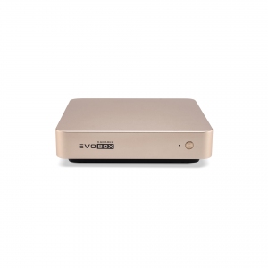 EVOBOX с микрофонами в Кунгуре